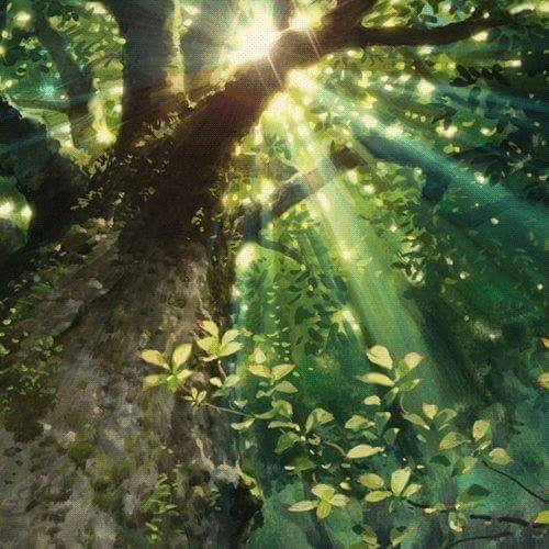 Manjolo – Das Leben im Jetzt – Der Augenblick