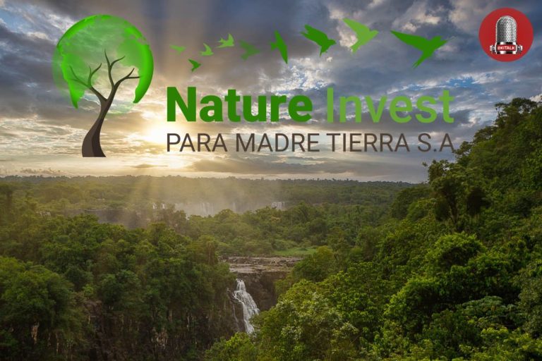 OKi – Nature Talk – Fragen und Antworten