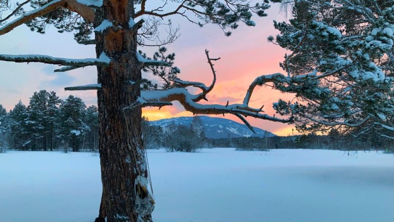 Bilbo Calvez – RUSSLAND – Wir sehen uns bald wieder