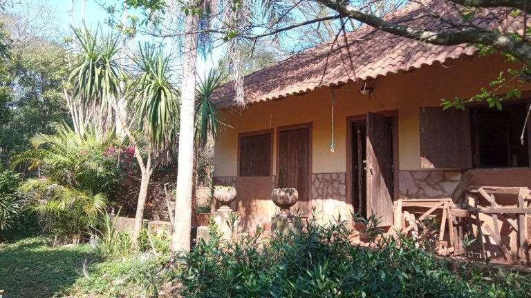 Andrea Pohl – Erhalten des Urwald via Tourismus