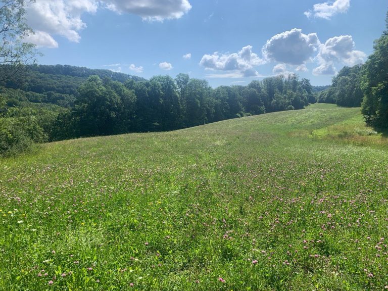 Anthony Anhalt – Neue Welt