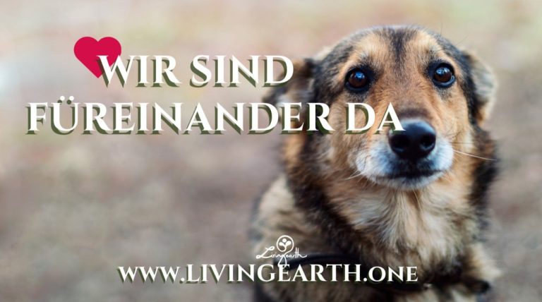 Das neue WIR: Gemeinsam für Farah und die Animal Police!