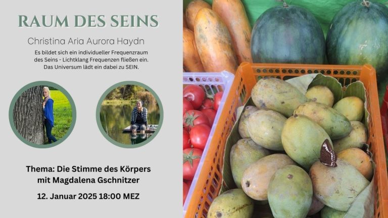 Christina AriaAurora Haydn – Raum des Seins