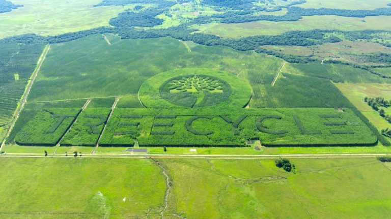 Nachhaltige Vermögenssicherung in Krisenzeiten außerhalb der EU
